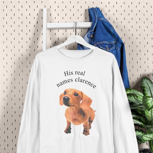 The Good Shirts Merch His Real Names Clarence T Shirts Shirts That Go Hard His Real Names Clarence Hoodie