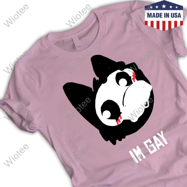 Im Gay Tee Im Gay Hoodie
