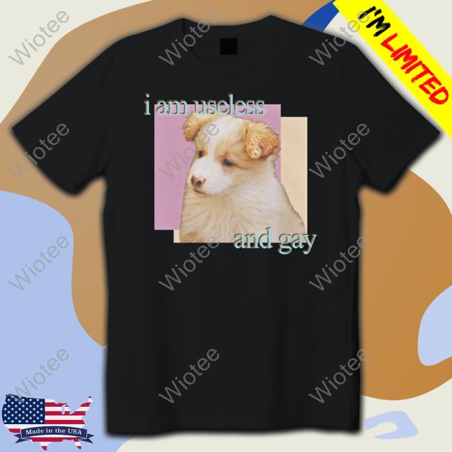 I Am Useless And Gay Tee Shirt