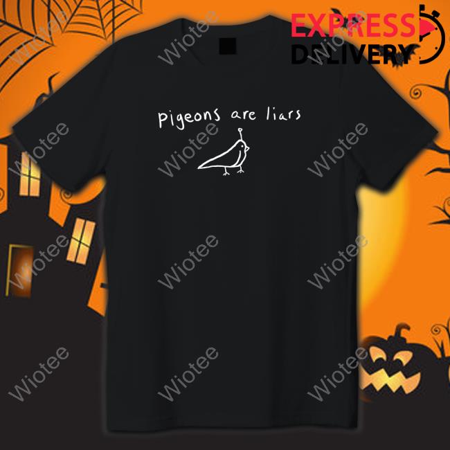 Pigeons Are Liars Hoodie