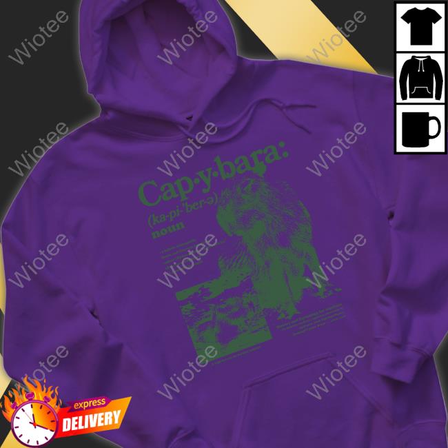 Official Capybara Defined Shirt Capybara Man Merch Capybara Defined Hooded Sweatshirt Kapybara007