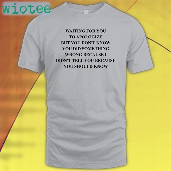 Waiting For You To Apologize But You Don't Know You Did Something Wrong Because I Didn't Tell You Because You Should Know T Shirt Grey
