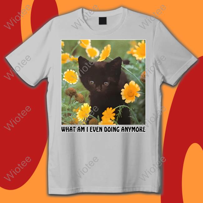 Shirts That Go Hard What Am I Even Doing Anymore Hoodie What Am I Even Doing Anymore Hoodie