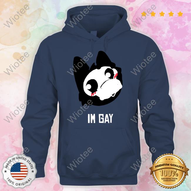 Im Gay Tee Im Gay Sweatshirt Ivycomb