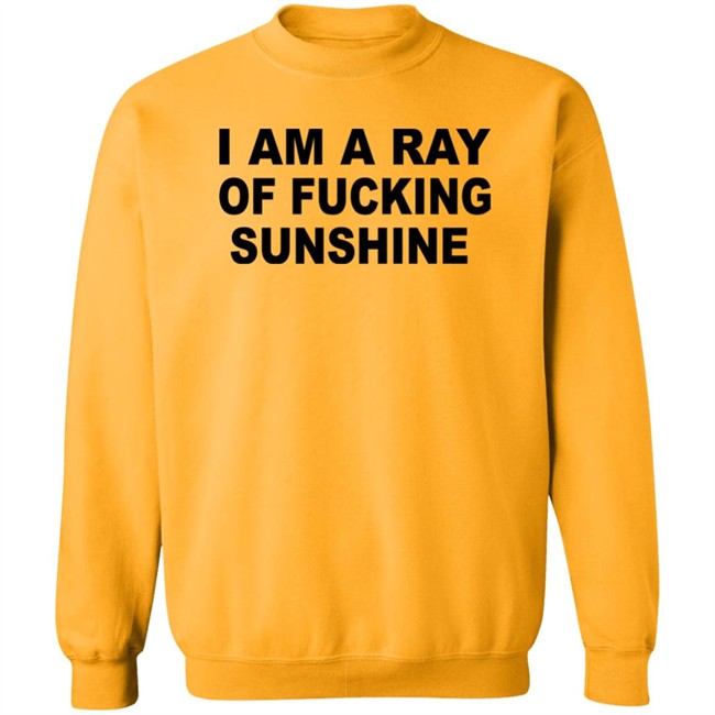 I Am A Ray Of Fucking Sunshine Hoodie Sweatshirt Tours Daily