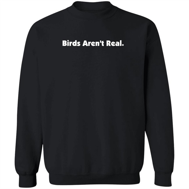 Birds Aren't Real Merch Hoodie Peter Mcadoo Birds Aren't Real Merch Hoodie Peter Mcadoo