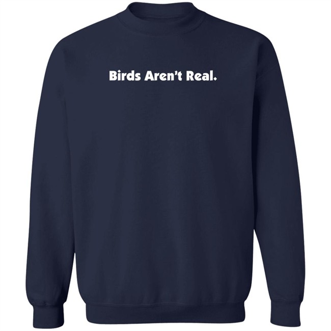 Birds Aren't Real Merch Hoodie Peter Mcadoo Birds Aren't Real Merch Hoodie Peter Mcadoo