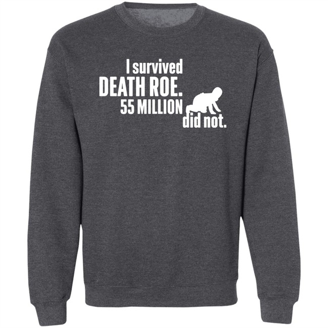 I Survived Death Roe 55 Million Did Not Hoodie Art Taking Back I Survived Death Roe 55 Million Did Not Hoodie Art Taking Back