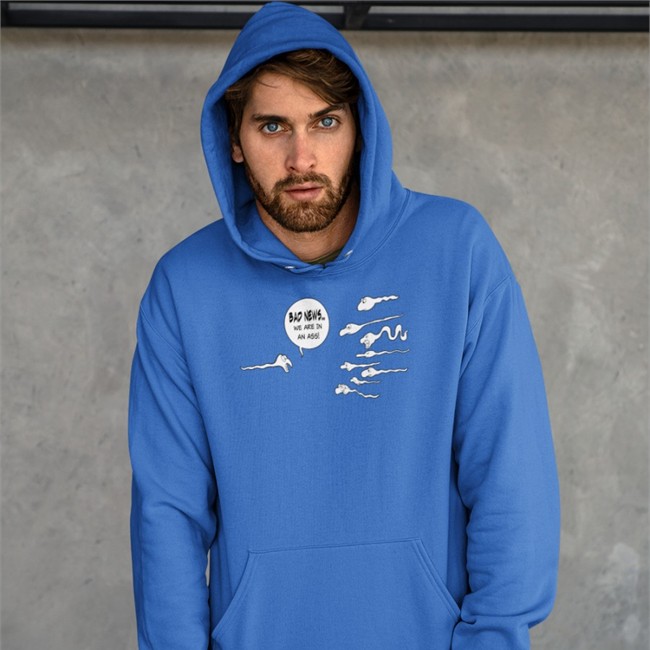 Bad News We Are In An Ass T Shirt Shirts That Go Hard Merch Bad News We Are In An Ass Hooded Sweatshirt