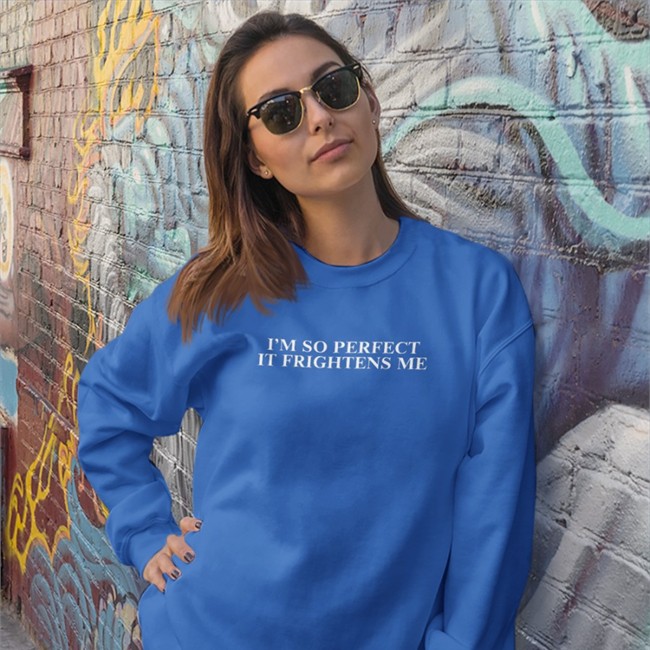 Shirts That Go Hard I'm So Perfect It Frightens Me Hooded Sweatshirt