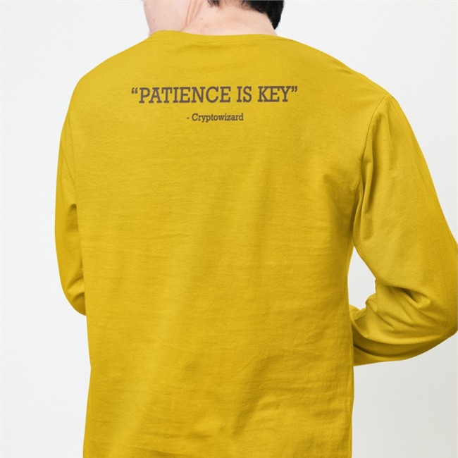 Patience Is Key Cryptowizard Shirt Wizz Beware Scammers White