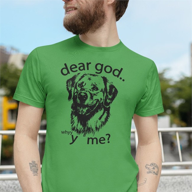 Thegoodshirts Merch Dear God Why Y Me Hooded Sweatshirt Shirts That Go Hard