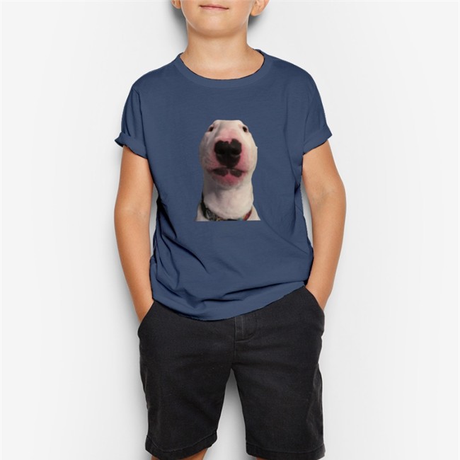Kissyskep Walter Meme Dog Hoodie Shirt