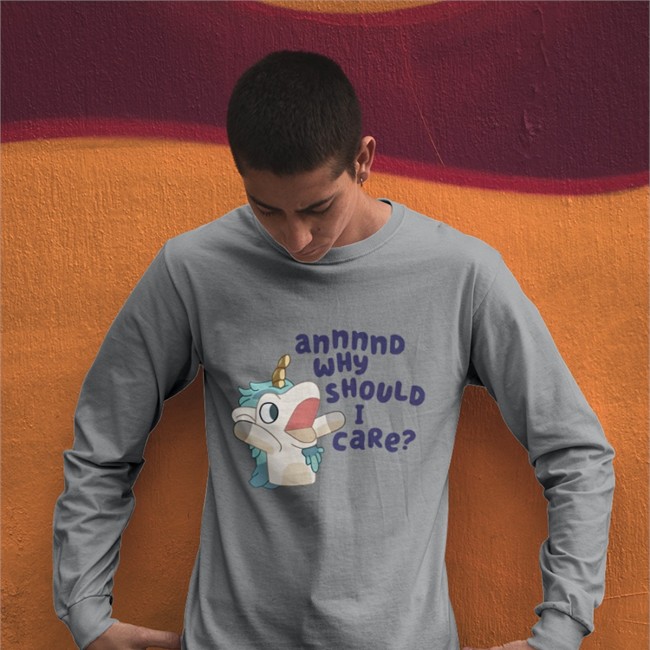 Annnnd Why Should I Care Hooded Sweatshirt Annnnd Why Should I Care Tee Shirt