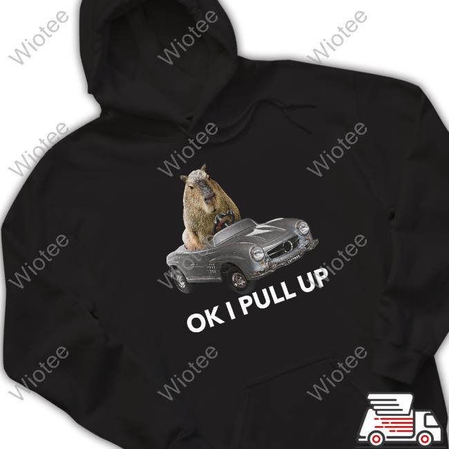 Capy Car TShirts Capybara Man Merch