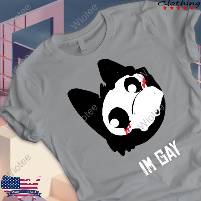 Im Gay Tee Im Gay Sweatshirt