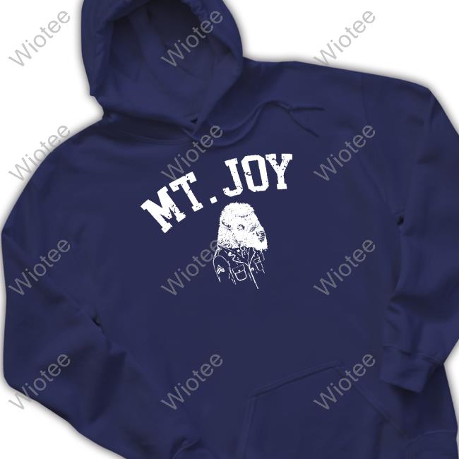Mt Joy Merch Buffalo T Shirt Mt Joy Buffalo Tee