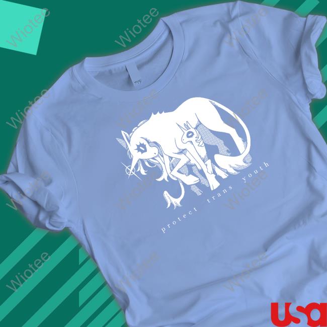 Ian Wateryday Protect Trans Youth Tee Protect Trans Youth Shirt