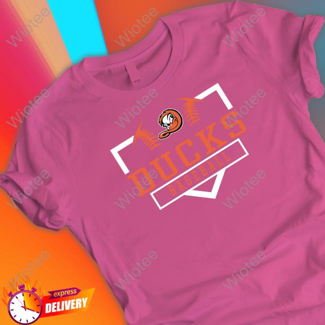 Official Ducks Baseball Long Sleeve Tee Ducks Baseball Hoodie