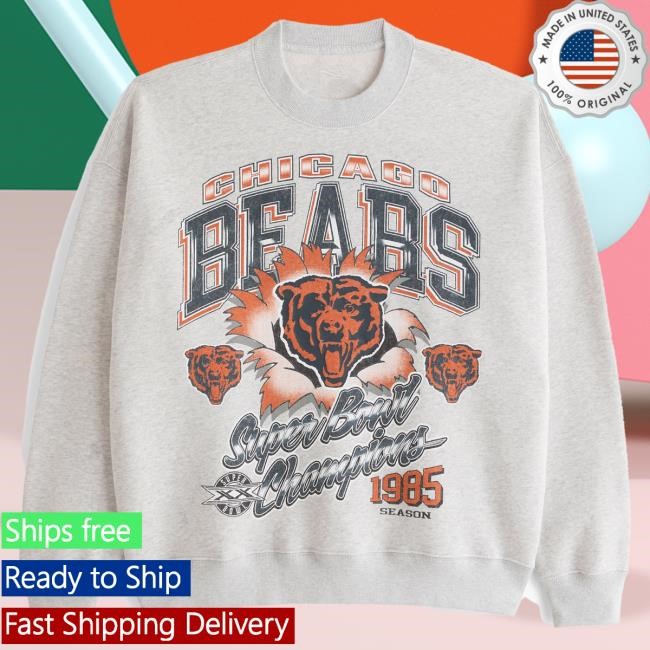 Official Abercrombie And Fitch Apparel Chicago Bears Graphic Sweater NFL by Abercrombie Official Abercrombie And Fitch Merch Chicago Bears Graphic Sweatshirt NFL by Abercrombie