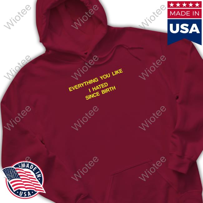 Official Everything You Like I Hated Since Birth Tee Shirt Shtreetwear Everything You Like I Hated Since Birth Hoodie