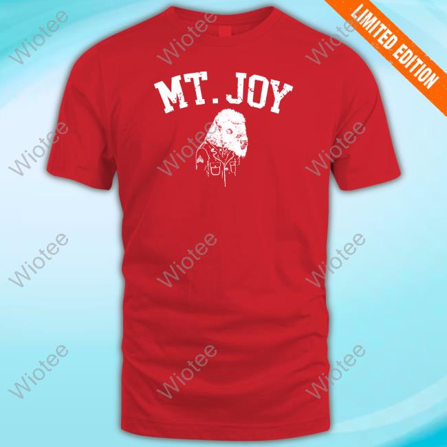 Mt Joy Merch Buffalo T Shirt Mt Joy Buffalo Shirt