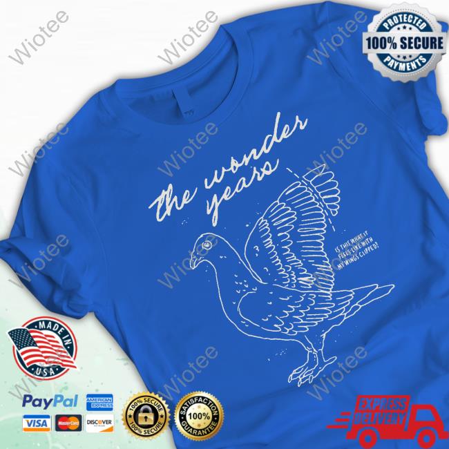 The Wonder Years Merch Is This What It Feels Like With My Wings Clipped Long Sleeve Tee Official The Wonder Years Merch Wings Clipped Hoodie