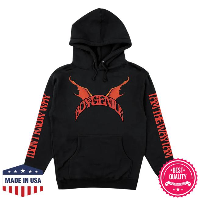 Official Boygenius Store Demon Hoodie Pullover Sweatshirt