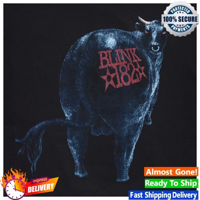 Official Blink 182 Merch Blink-182 Dude Ranch Hoodies