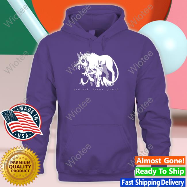 Ian Wateryday Protect Trans Youth Tee Protect Trans Youth Shirts