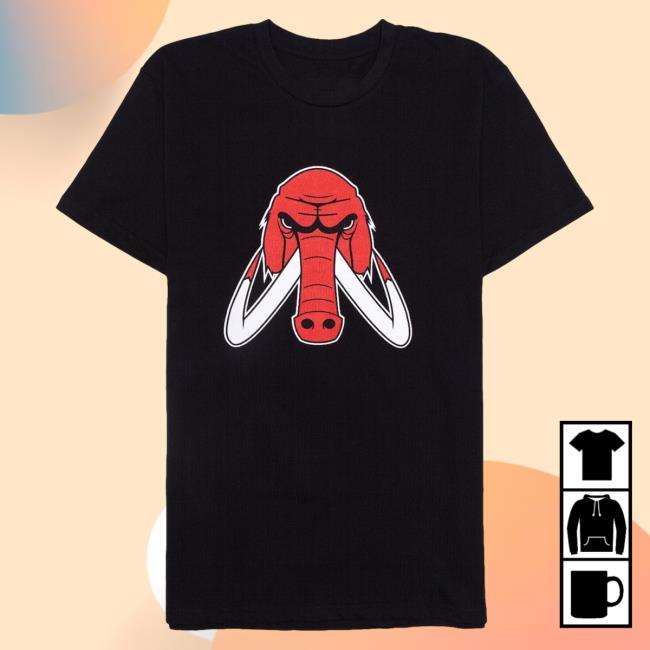 Official Wooli Merch Bar Woolidrop Wooli Chicago Shirt Wooli Music MerchBar