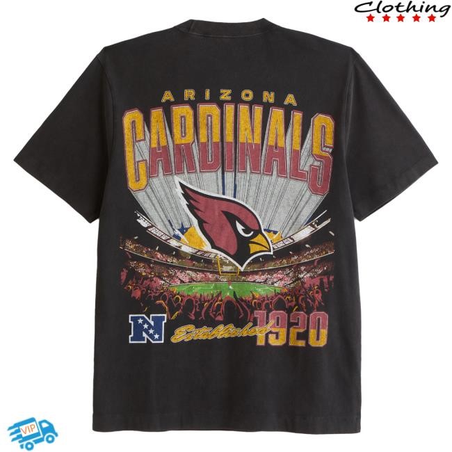 Official Abercrombie And Fitch Apparel Clothing Merch Arizona Cardinals Graphic Hot Shirt Abercrombie Store Shop