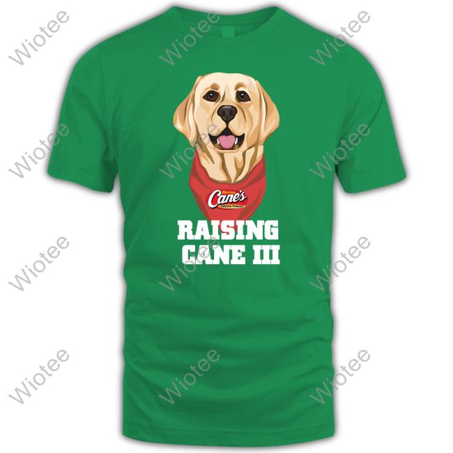 Official Raising Cane's Merch Cane III Shirts Raising Cane's Merch Cane III Hoodie