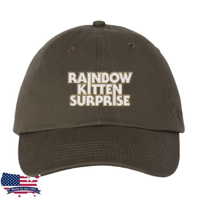 Rainbow Kitten Surprise Retro Record Store Day Hood