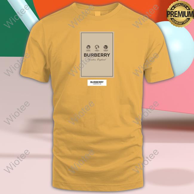 Buberry Hoodie