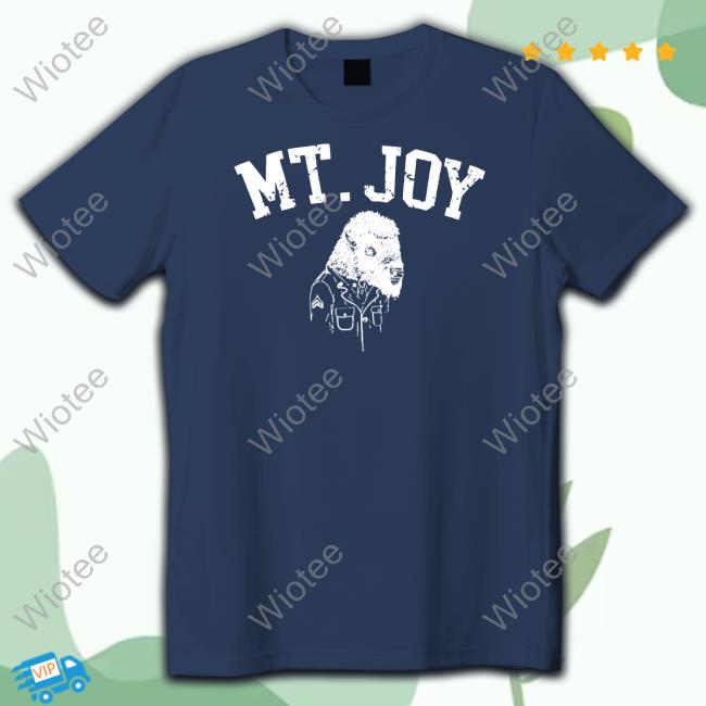 Mt Joy Buffalo Sweatshirt