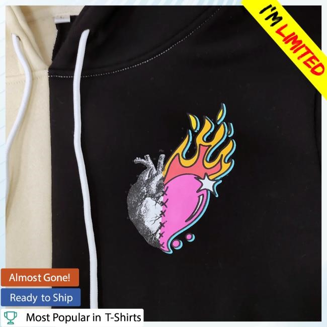 Official Lindsey Stirling Merch Store Shop Lindsey Stirling Dueling Duo Custom Hood