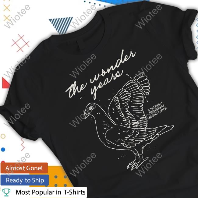 The Wonder Years Merch Is This What It Feels Like With My Wings Clipped Long Sleeve Tee Official The Wonder Years Merch Wings Clipped Sweatshirt
