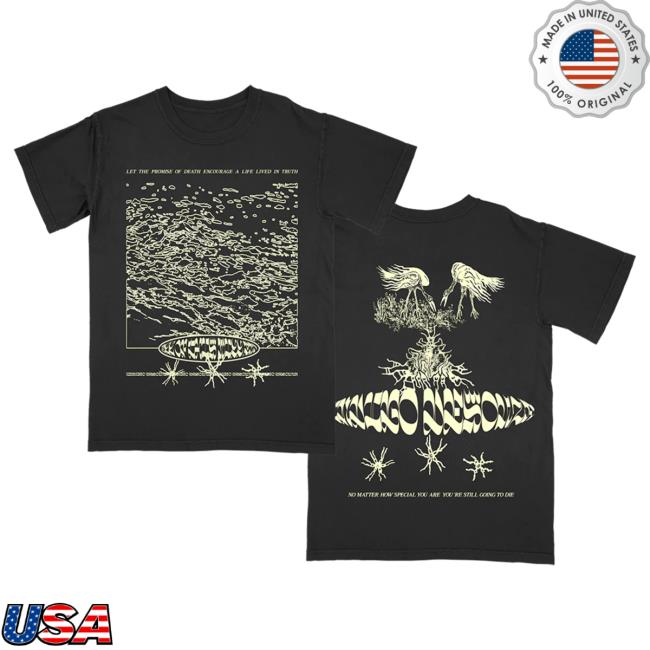 Official Hello Merch Store Indigo De Souza Truth Black Tshirt Hellomerch