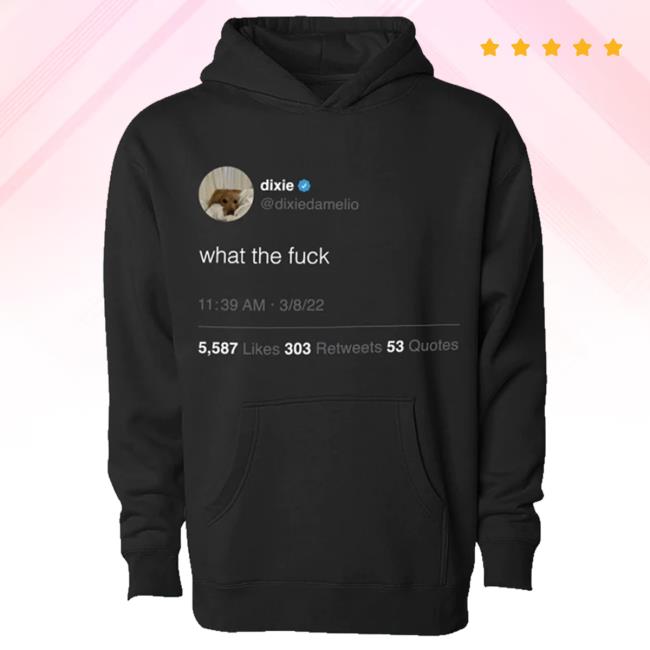 Official Dixie D'amelio Merch Shop Wtf Tweet Hoodie