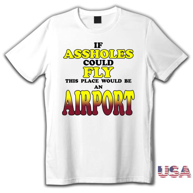 Drake If Assholes Could Fly This Place Would Be An Airport Tee