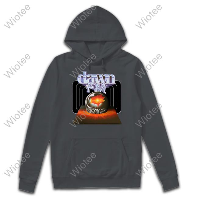 Dawn Fm Plane Shirts Official The Weeknd Dawn Fm Plane Hoodie