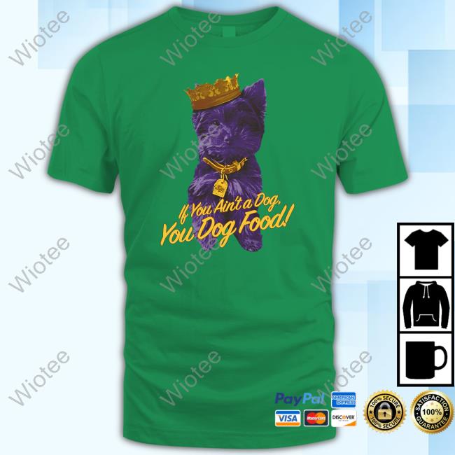 Angel Reese Merch Angel Reese If You Aint A Dog Shirt