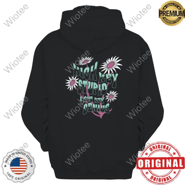 High Key Stupid Low Key Genius Sweatshirt Ottobykris Merch High Key Stupid Low Key Genius Sweatshirt Kallmekris