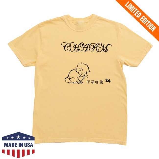 Clairo Charm Cat Tour Tee Clairo Merch Clairo Charm Cat Tour Shirt Clairo Merch