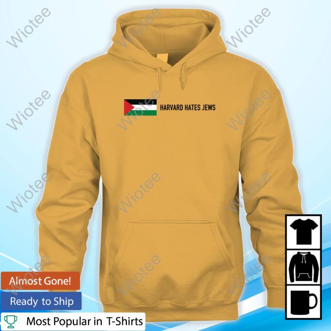 Official Dave Portnoy Palestine Flag Harvard Hates Jews Shirt Official Dave Portnoy Palestine Flag Harvard Hates Jews T Shirts