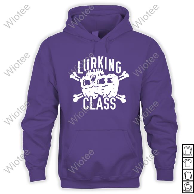 Lowered Expectations Pullover Hoodie Lowered Expectations Hoodies