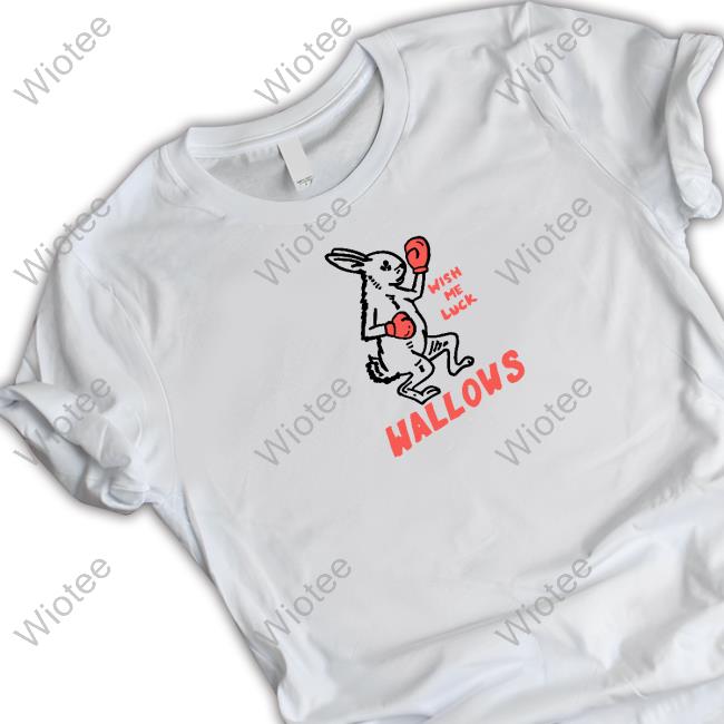 Wallows Merch Bunny Wish Me Luck T Shirt