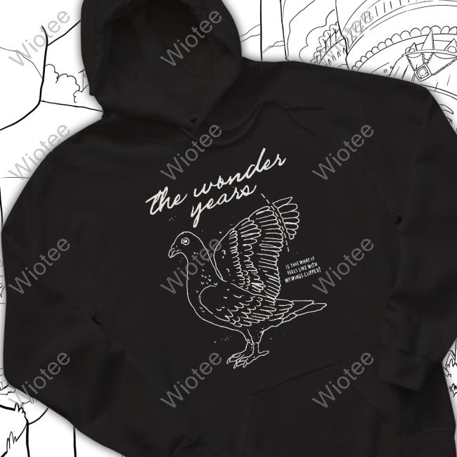 Official The Wonder Years Merch Is This What It Feels Like With My Wings Clipped Long Sleeve T Shirt