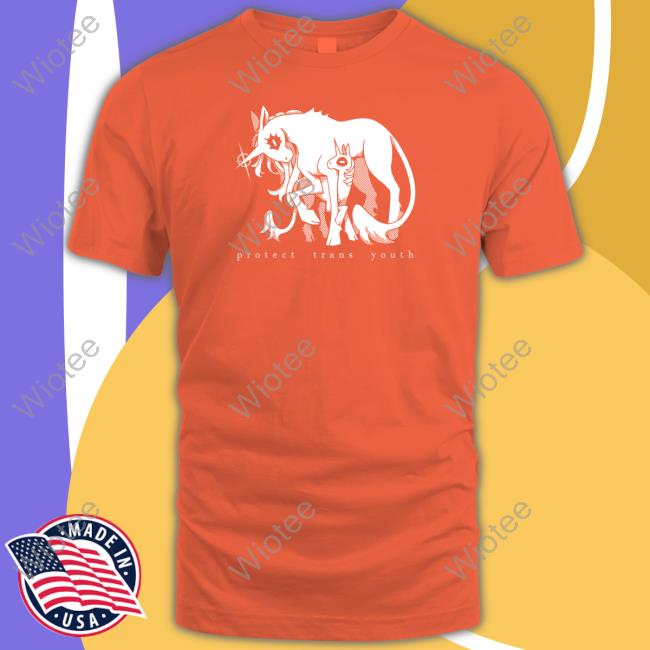 Ian Wateryday Protect Trans Youth Tee Protect Trans Youth Shirt